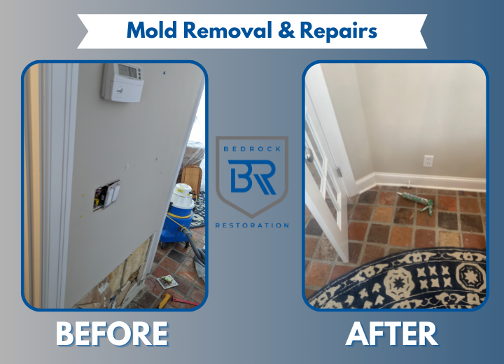 Mold removal repairs