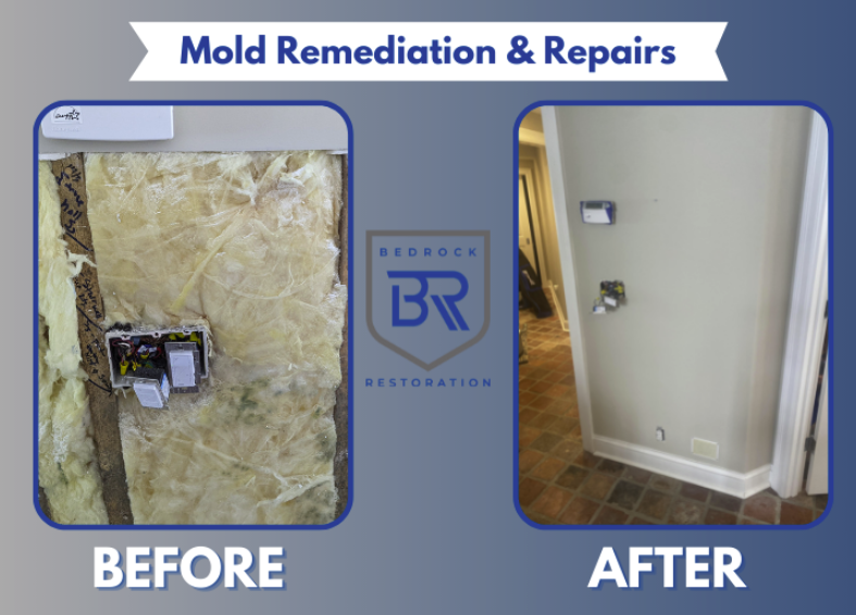 Mold Remediation and Repairs