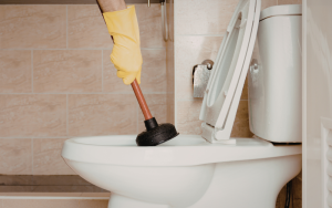 Toilet and plunger